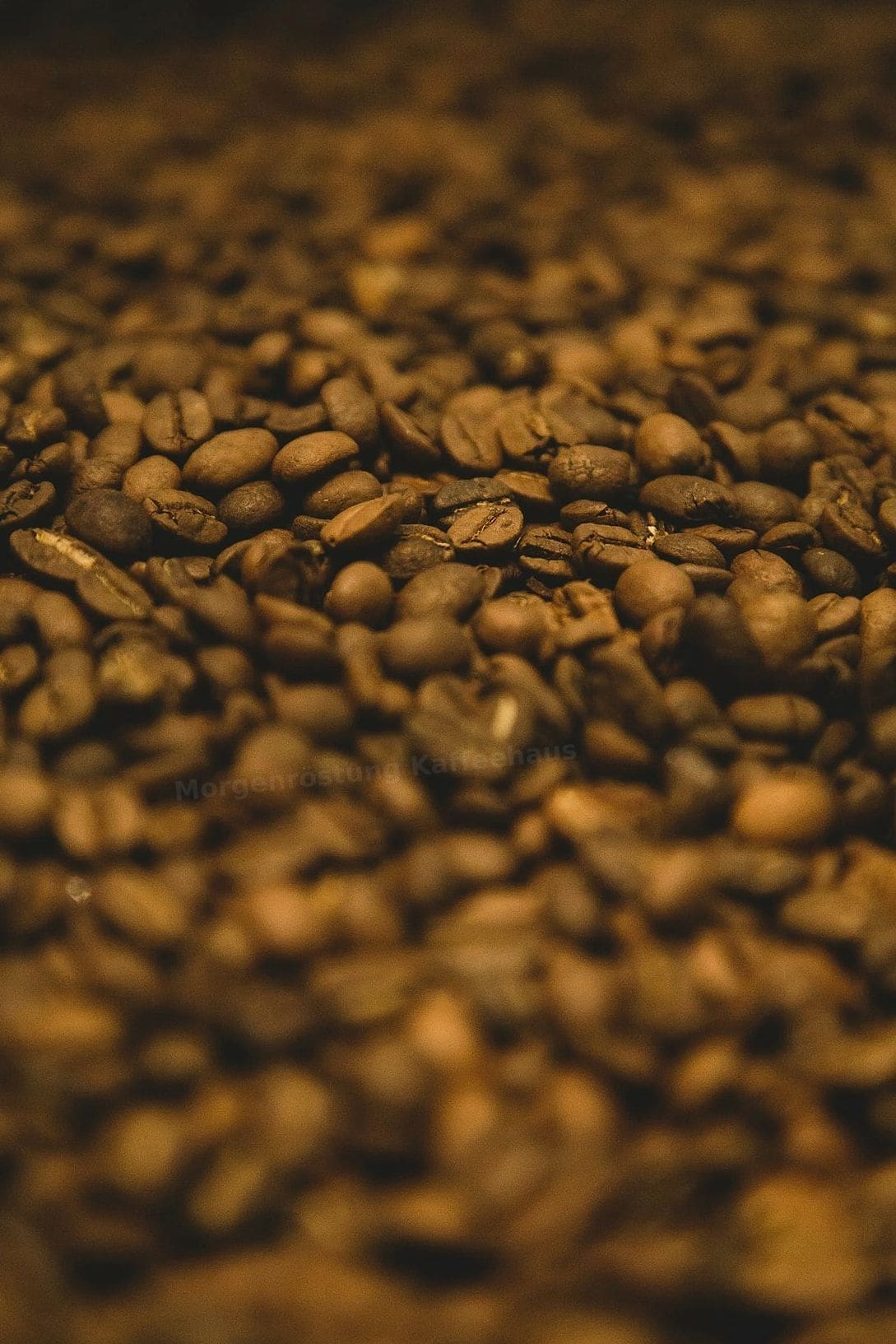 Morgenröstung Kaffeehaus 5
